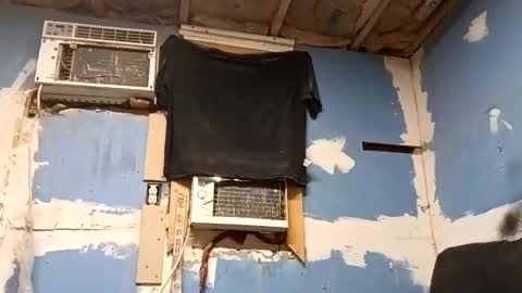 ddkjosh online show from February 15, 1:41 pm