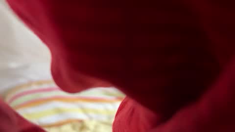 ddn9753 online show from October 9, 9:41 pm