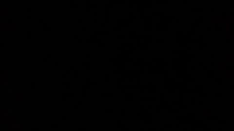 ddogg40 online show from February 22, 10:38 am