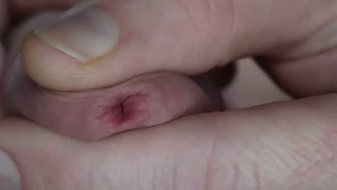 degenden online show from January 28, 2:42 pm