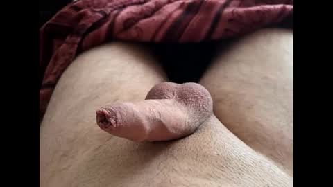 LilRoach online show from February 24, 2:07 pm