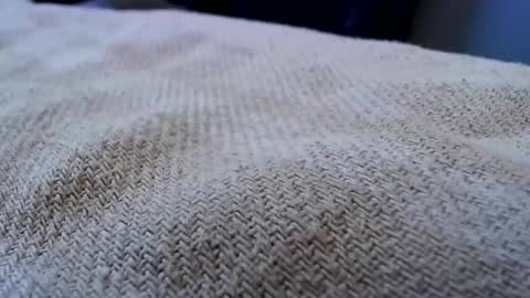 dereck59 online show from April 23, 8:41 am