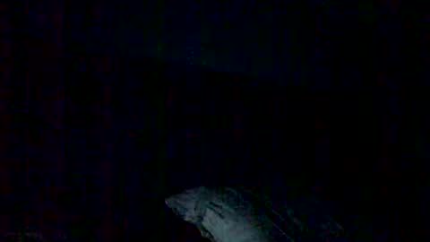 derokkes online show from May 29, 1:04 am