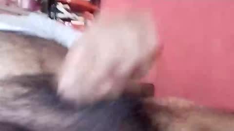 desitunni123 online show from February 9, 8:19 am