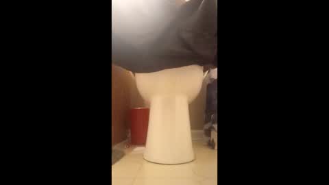 dgvbnnnnb online show from March 11, 4:08 am