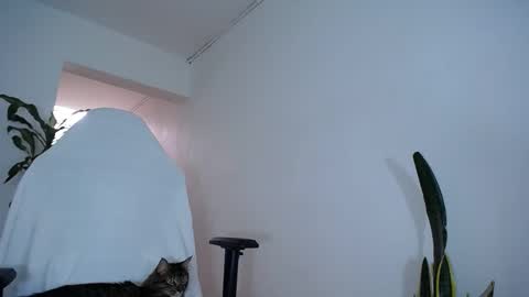 Snapshot of diamond_black00 chatting on December 12, 3:27 pm MaSSimo online show from December 12, 3:27 pm