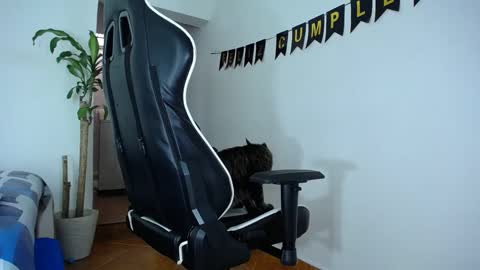 Snapshot of diamond_black00 chatting on December 28, 7:54 pm MaSSimo online show from December 28, 7:54 pm