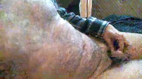 dickasabrick online show from January 28, 8:26 pm