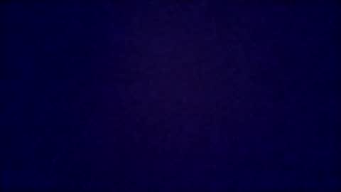 Dicky online show from February 14, 7:44 pm