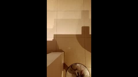 Diego online show from February 21, 10:33 pm