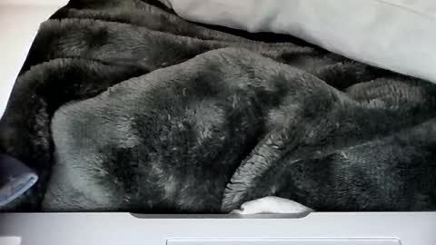 Daddy online show from April 14, 3:06 am