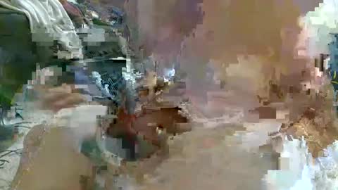 dildobandit online show from April 30, 12:01 pm