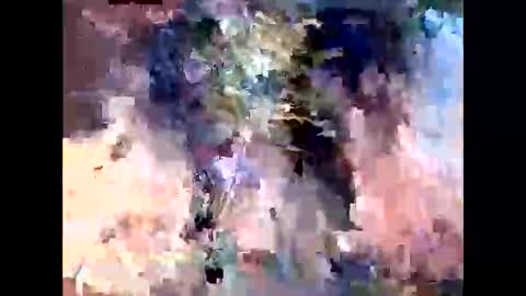 dillylama online show from October 30, 8:10 pm