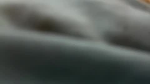 dirtyj67 online show from February 4, 5:02 am