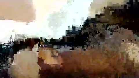 dixonbird41 online show from May 8, 8:48 am