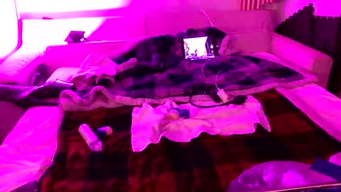 Izzy Knyx online show from December 22, 4:31 am