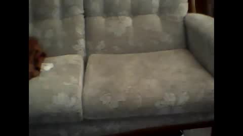 djcodeone online show from January 28, 2:53 am