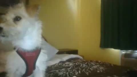 djmixxx89420 online show from April 13, 11:27 pm