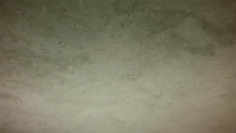 Snapshot of djo3322 chatting on October 26, 7:27 pm Djo online show from October 26, 7:27 pm