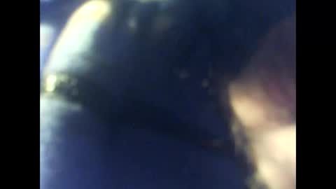 dkboxer online show from November 26, 11:41 pm