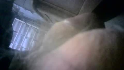 dkboxer online show from February 13, 11:39 am