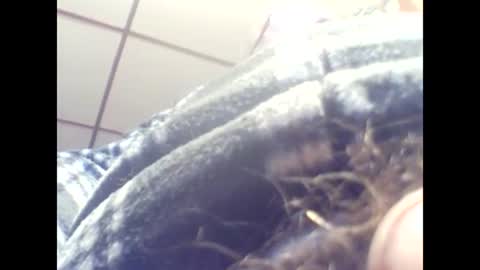 dkboxer online show from March 7, 4:55 pm