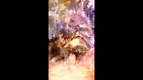 dlc1994 online show from February 22, 3:08 am