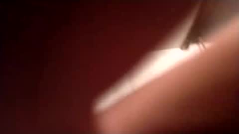 Sanderxxxx online show from November 16, 10:56 pm