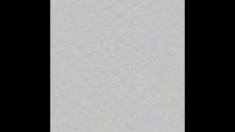 dmoney212 online show from November 9, 6:17 am