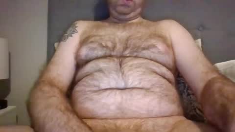 dom91070 online show from January 6, 7:56 am