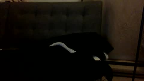 Snapshot of dominican89 chatting on March 11, 1:05 am DominiCambo8990 online show from March 11, 1:05 am