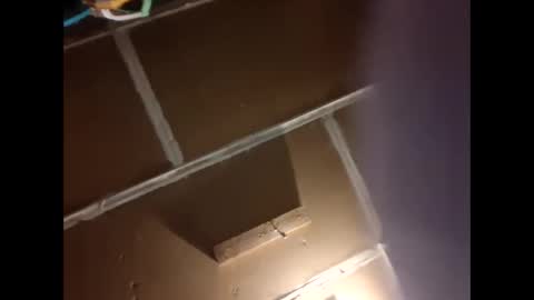 donkey99999 online show from March 10, 4:24 pm