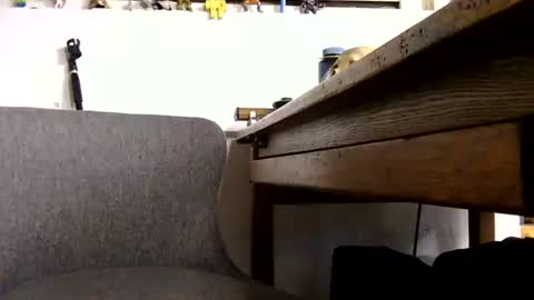 dontworryjustwatch online show from November 12, 8:47 pm