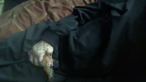 Hello  welcome to Slutsville  I am the Naked Chef  really  but you may call me Peter online show from November 14, 11:11 am