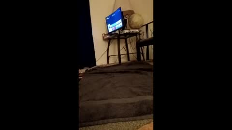 doubleheadedcock online show from December 16, 10:00 am