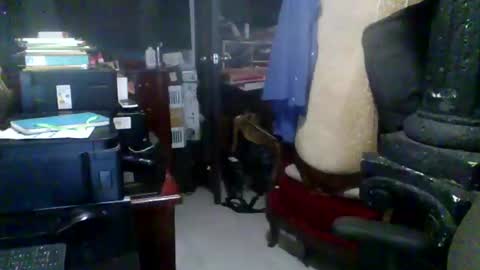 dragon0412197 online show from March 19, 5:54 am