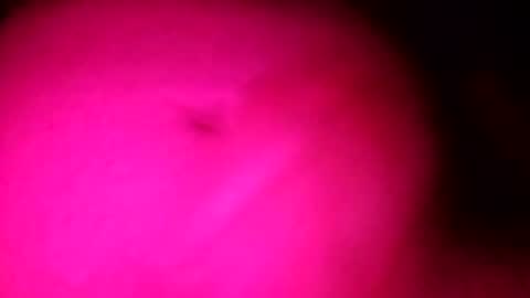 dragon_2010 online show from December 2, 9:12 am