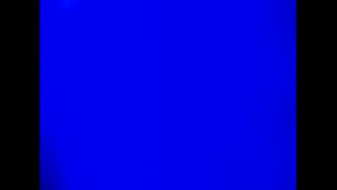 drakefimon online show from October 21, 10:07 am