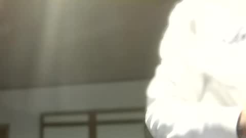 Dreambob online show from November 2, 12:15 am