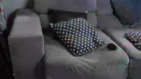 drunkoelho online show from September 23, 2:22 am