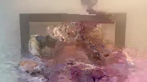 Snapshot of dudecuzbeo chatting on February 5, 11:44 am dudecuzbeo online show from February 5, 11:44 am