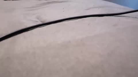 ted online show from January 18, 9:44 am