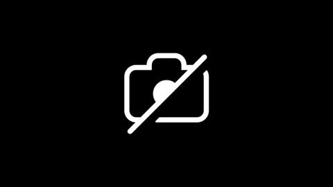 dylp400 online show from January 12, 8:18 am