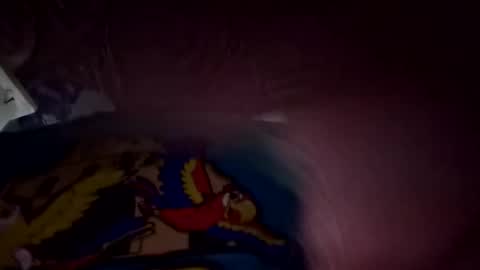 easymoneysteph online show from January 16, 11:02 am