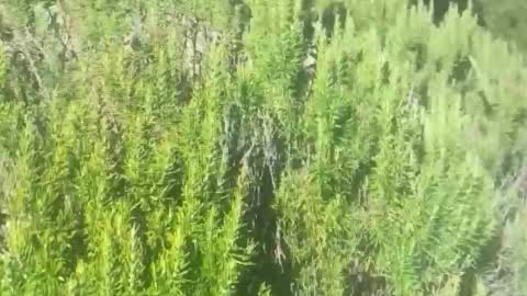 ebnk15 online show from October 21, 1:14 pm