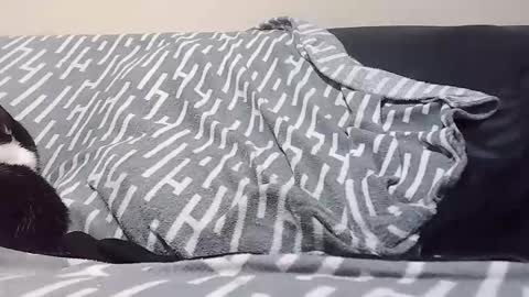 Eds online show from April 22, 6:12 pm