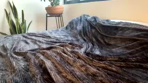 Edy online show from February 13, 12:28 am