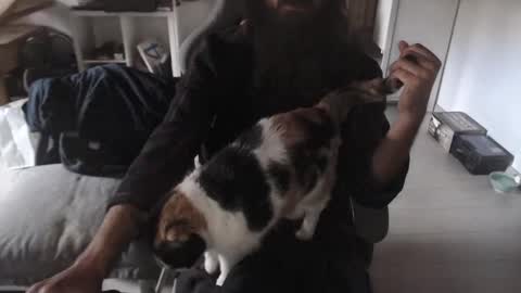 eighthundredeightyeight online show from November 9, 11:03 am