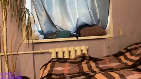 Eitan online show from November 21, 9:30 am