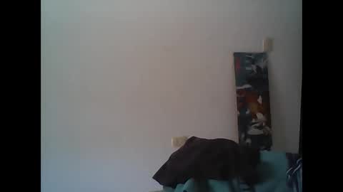 Rod online show from November 2, 12:09 pm